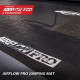 BERG Champion Flatground 380 Green Sport-Airflow-Pro 